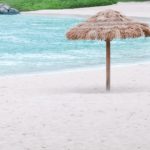 קהילה לא מתקיימת בנפרד מהעולם, היא חלק ממנו.